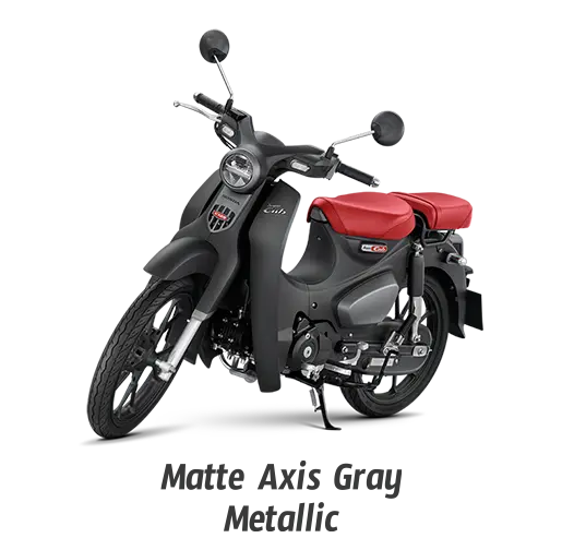 matte-axis-gray-metallic-515x504pxl-1-10052024-062437