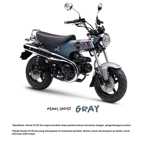 ST125 Dax - Image 3